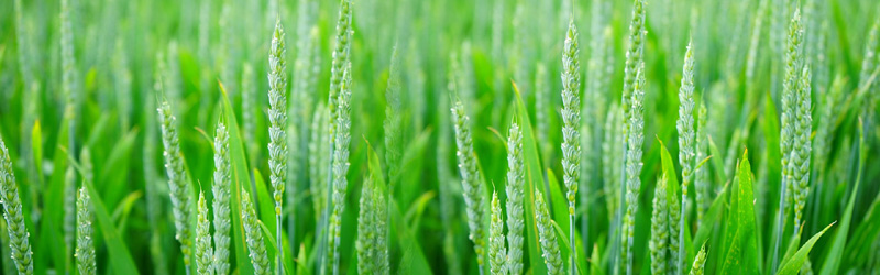 盐城金昶科技有限公司