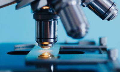 盐城金昶科技有限公司网站全新改版